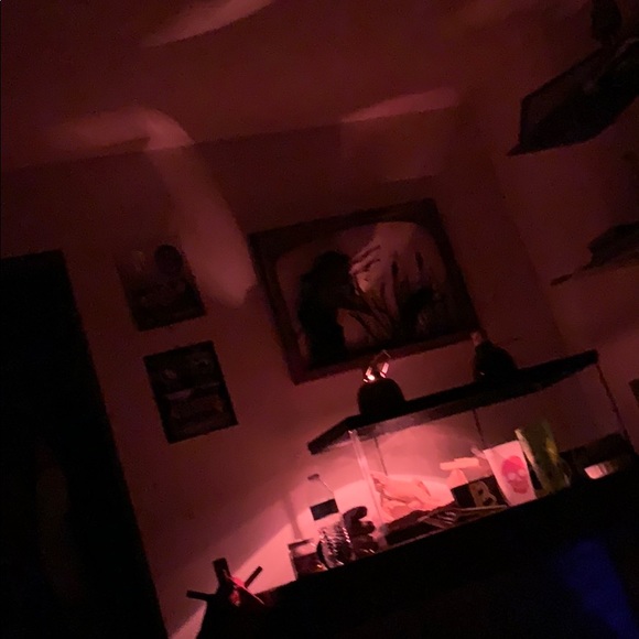 drakec095